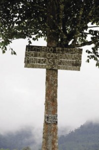 Sign rejecting mining on a tree on the ridge near the community of Cerro Pelado, Intag. "Prohibido el ingresso de companias mineras. Las tierras no se vende. Las tierras se defiende."
